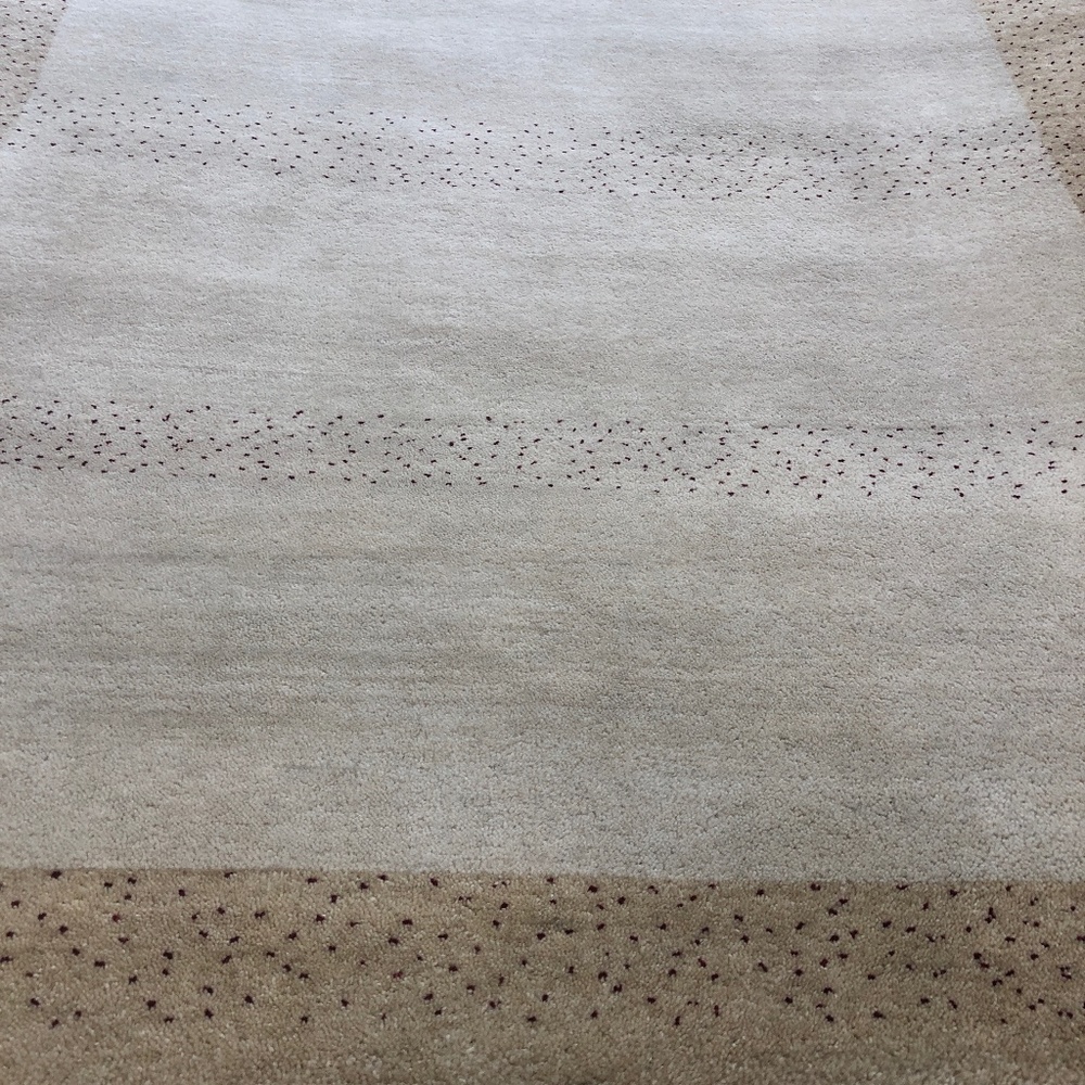 Hand Woven Indian Rug  4.4 x 6.4